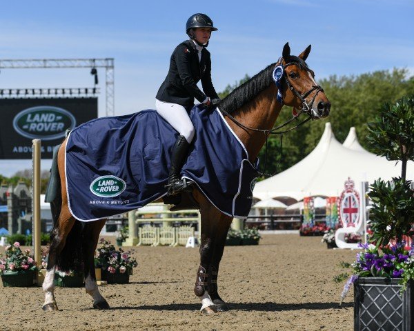 jumper Z7 Qamar (Holsteiner, 2010, from Quidado)