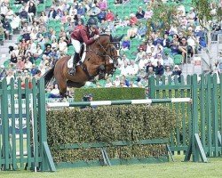 jumper Crispien (Holsteiner, 2000, from Carpaccio)