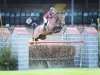 jumper Cash Up (Holsteiner, 2004, from Cash and Carry)
