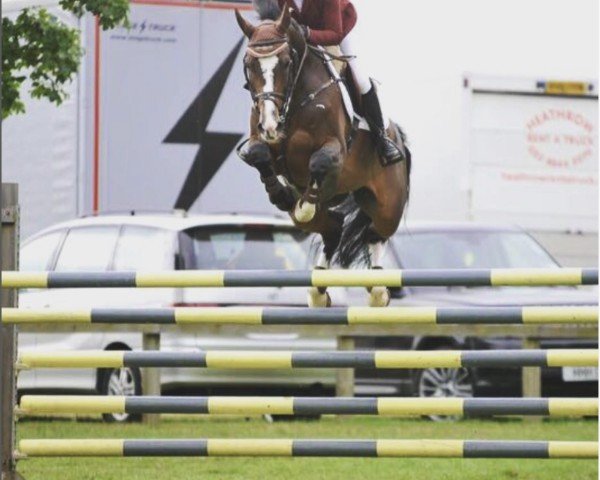 jumper Corenter VA (Holsteiner, 2010, from Indoctro)