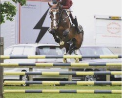 Springpferd Corenter VA (Holsteiner, 2010, von Indoctro)