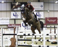 jumper Cantare Z (Zangersheide riding horse, 2010, from Cancara)