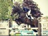 broodmare Zooey (Holsteiner, 2007, from For Pleasure)