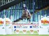 Springpferd Billy Haze (Anglo Europäisches Sportpferd, 2009, von Billy Congo)