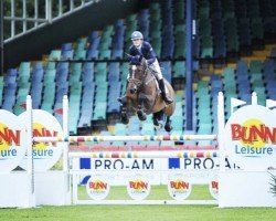 jumper Billy Haze (anglo european sporthorse, 2009, from Billy Congo)