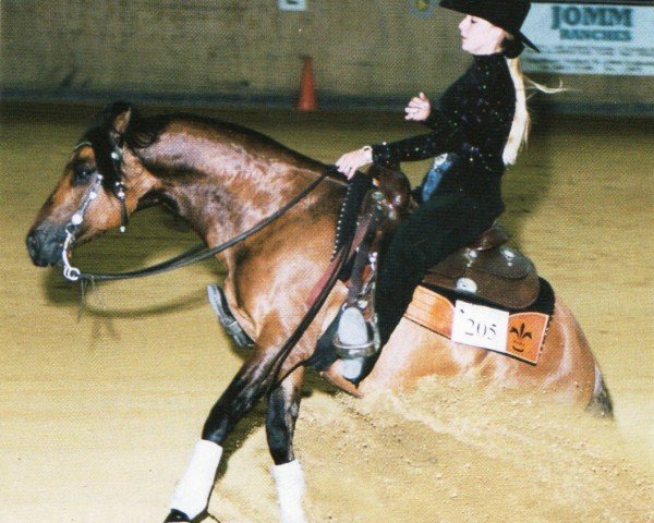 horse Siri Country Boy Whiz (Quarter Horse, 1995, from Topsail Whiz)