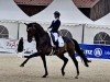 dressage horse Daxplus (Hanoverian, 2019, from Da Costa)