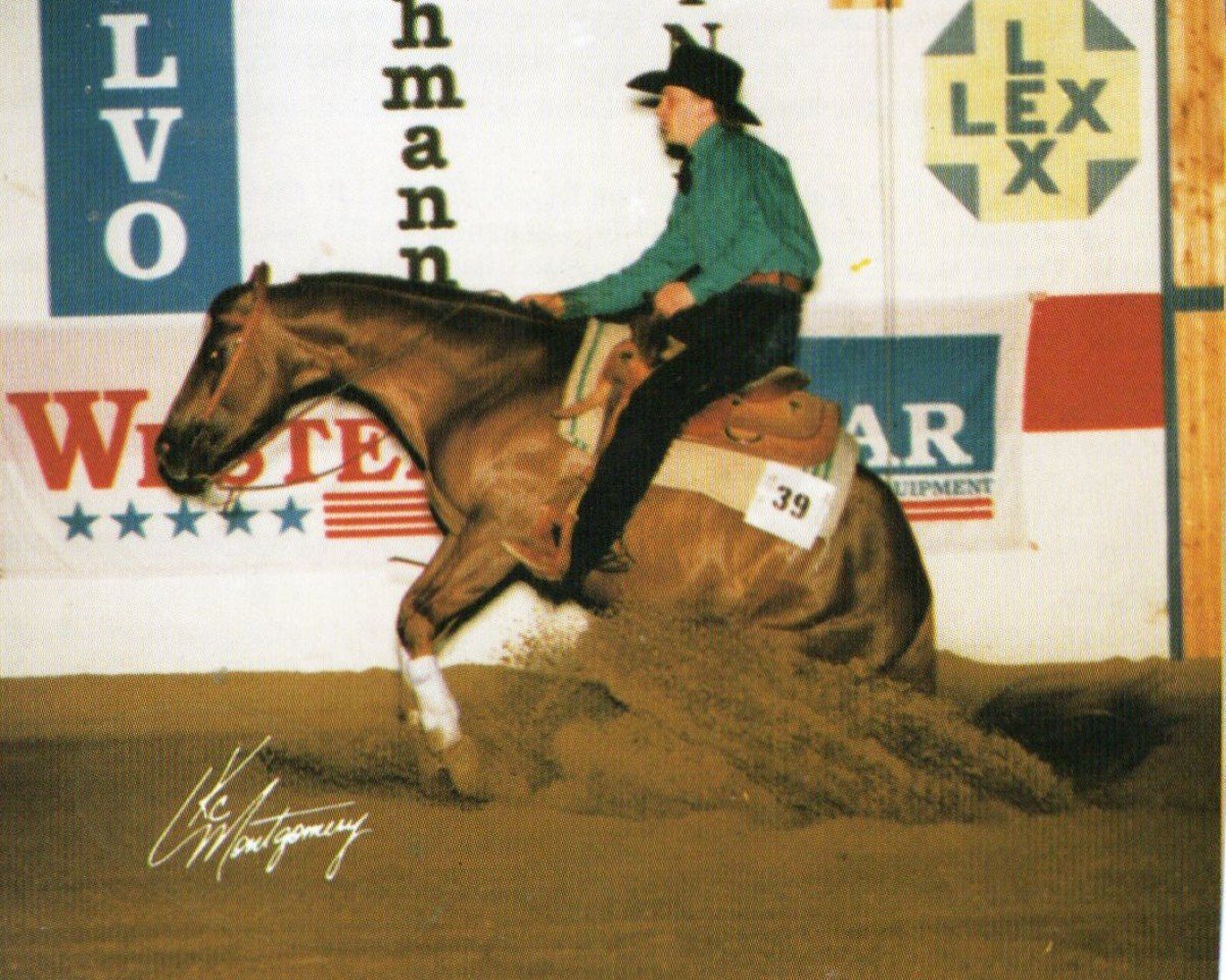 horse Sizzlin Slider (Quarter Horse, 1990, from Chub Cody)