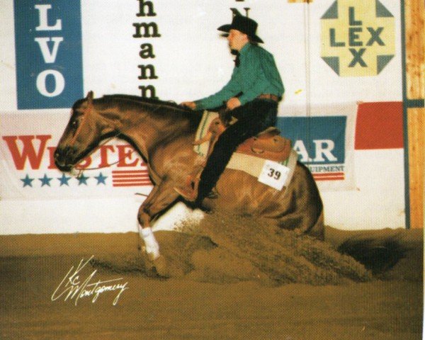 horse Sizzlin Slider (Quarter Horse, 1990, from Chub Cody)