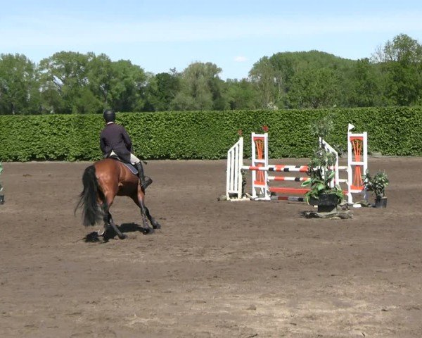 Reitturnier Lentzke - Reitanlage Krehl 2025