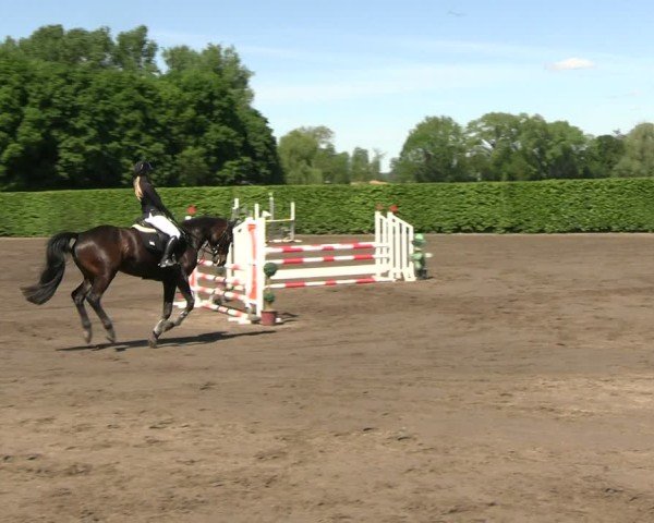 Reitturnier Lentzke - Reitanlage Krehl 2025