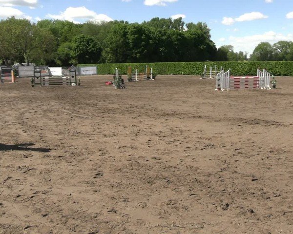 Reitturnier Lentzke - Reitanlage Krehl 2025