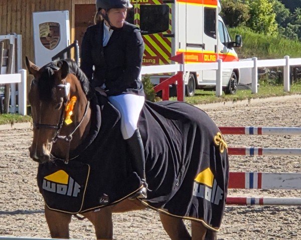 jumper Famagusta 5 (German Sport Horse, 2020)