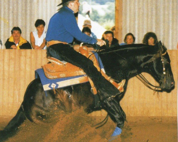 horse SR Lawman (Quarter Horse, 1992, from Holidoc)
