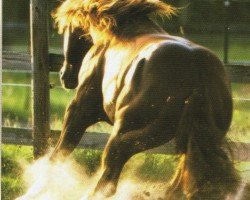 Deckhengst Sweet Talkin Lena (Quarter Horse, 1996, von Smart Chic Olena)