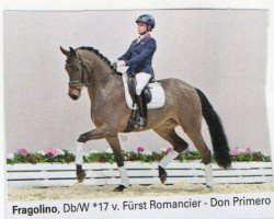 Dressurpferd Fragolino (Oldenburger, 2017)