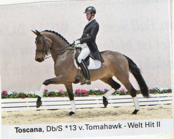 dressage horse Toscana FE (Oldenburg, 2013, from Tomahawk)
