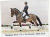 Dressurpferd Toscana FE (Oldenburger, 2013, von Tomahawk)