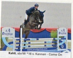 jumper Kahli 3 (Oldenburg show jumper, 2016, from Kannan)