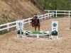 jumper Carringio Z (Zangersheide riding horse, 2012, from Cavaggio)