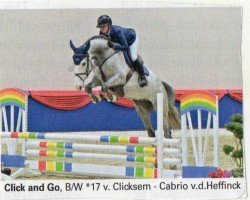 Springpferd Click And Go (Oldenburger Springpferd, 2017, von Clicksem)