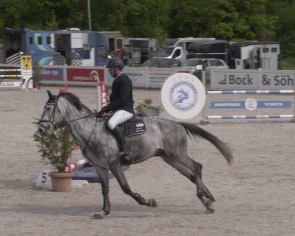 Reitturnier Babenhausen 2025