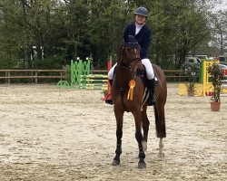 jumper Cardan 4 (Hanoverian, 2018, from Carridam)