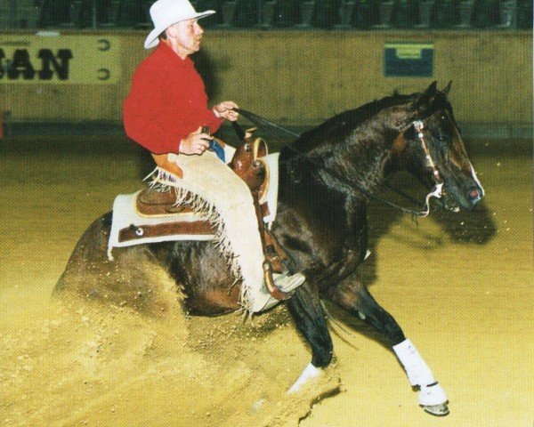 Deckhengst WV Docs Catalyst Bar (Quarter Horse, 1989, von Taris Catalyst)