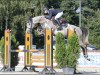 jumper Charlottenburg LA (Hanoverian, 2016, from Clarimo Ask)