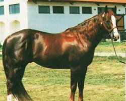 horse Smart Dualy (Quarter Horse, 1994, from Dual Pep)