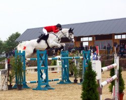 jumper Ballanti D'Ive Z (Zangersheide riding horse, 2009, from Caspar (Berlin))