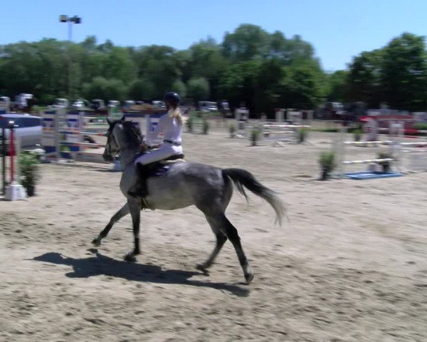Reitturnier Dorsten 2025