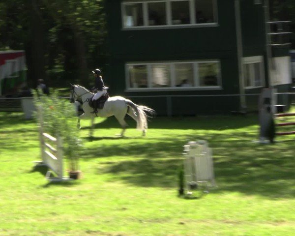 Reitturnier Helmsdorf 2025