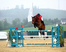 jumper Conbalou (Oldenburg show jumper, 2010, from Conthargos)