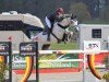 Zuchtstute Izanula N (KWPN (Niederländisches Warmblut), 2013, von Etoulon VDL)
