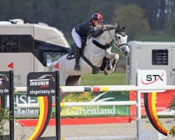 broodmare Izanula N (KWPN (Royal Dutch Sporthorse), 2013, from Etoulon VDL)
