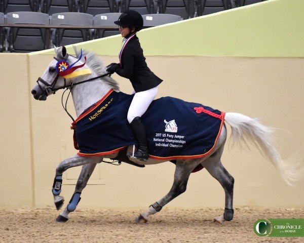 Springpferd Spoot de la Jourlais (Französisches Pony, 2006, von Thunder du Blin)