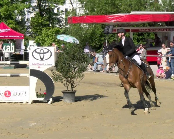 Reitturnier Winnenden 2025