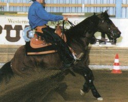 stallion Tivios Tucker Check (Quarter Horse, 1994, from Doc Chex)