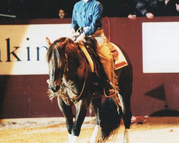 horse Topsail Cody Chex (Quarter Horse, 1992, from Topsail Cody)