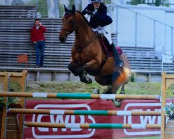 Springpferd Toby van de Kapel (Belgium Sporthorse, 2003, von Ueleme de Longpre)