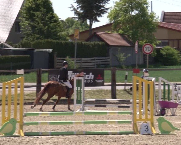 Reitturnier Poxdorf/Ofr 2025