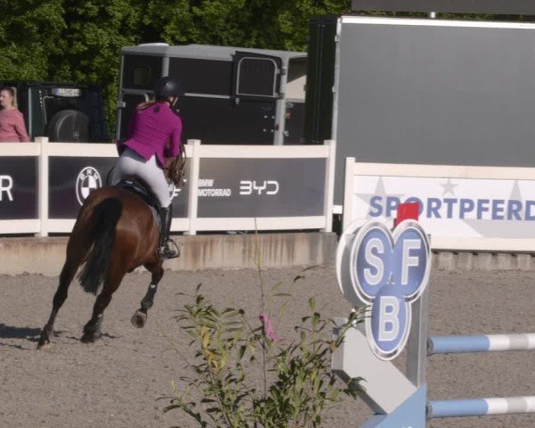Reitturnier Babenhausen 2025