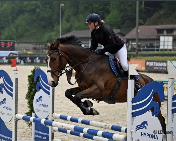 Springpferd Macan Athletic CH (Schweizer Warmblut, 2020, von Million Dollar)