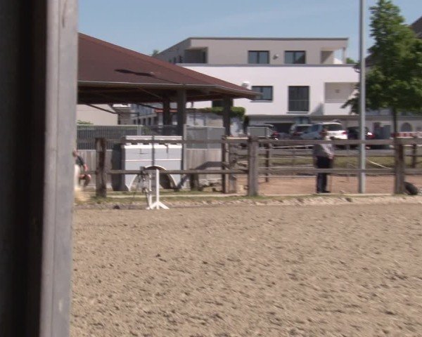 Reitturnier Poxdorf/Ofr 2025