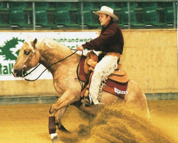 horse Simons Hollywood (Quarter Horse, 1995, from Hollywood Cody Jac)
