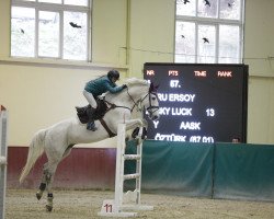 Springpferd Lucky Luck (Holsteiner, 2008, von Lord Z)