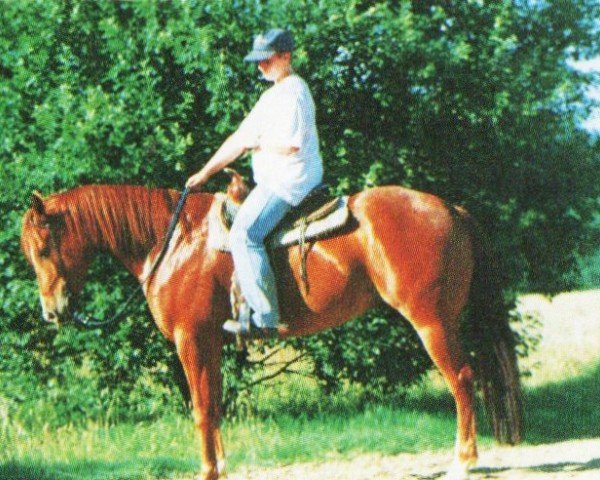 Pferd Scottys Crystal Time (Quarter Horse, 1991, von Scotch Bar Time)
