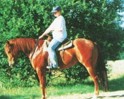 Pferd Scottys Crystal Time (Quarter Horse, 1991, von Scotch Bar Time)