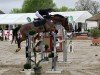 jumper Commano (Westphalian, 2012, from Comme il Faut)